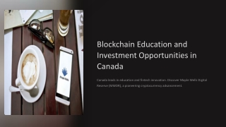 Blockchain Education and Investment