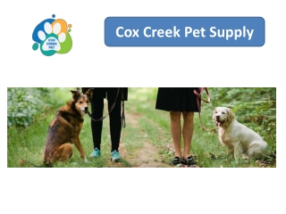 Built for the Outdoors: Why Realtree Dog Collars Are a Top Pick for Active PetsT