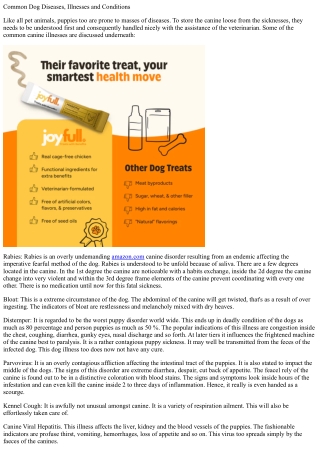 Common dog diseases health problems and circumstances