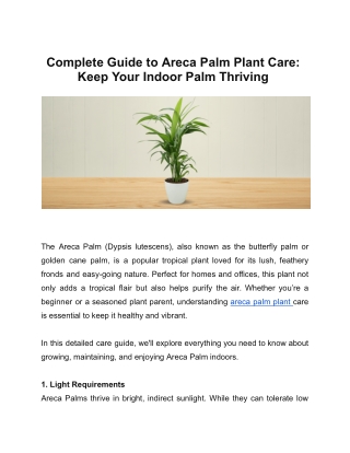Complete Guide to Areca Palm Plant Care: Keep Your Indoor Palm Thriving