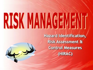 402910708-005-risk-management-ppt
