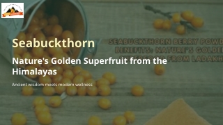 ladakhSeabuckthorn