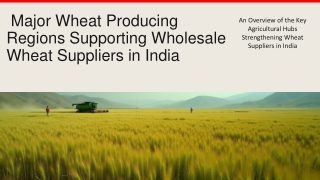 Major Wheat Producing Regions Supporting