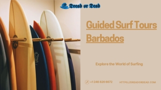Guided Surf Tours Barbados | Dread or Dead Surf School