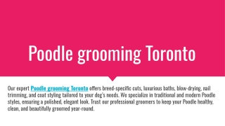 Poodle grooming Toronto