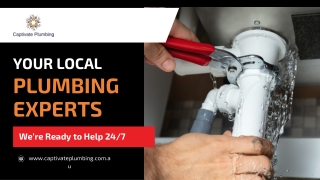 Your Local Plumbing Experts