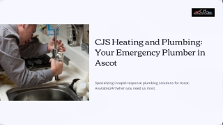 Fast-Acting Emergency Plumber Ascot for Urgent Repairs
