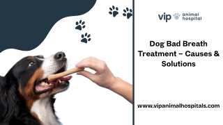 Effective Dog Bad Breath Treatment by VIP Animal Hospital