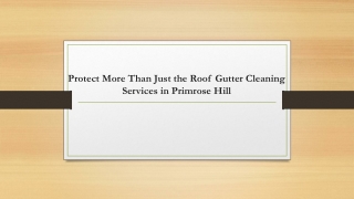 Protect More Than Just the Roof Gutter Cleaning Services in Primrose Hill