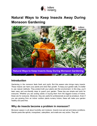 Natural Ways to Keep Insects Away During Monsoon Gardening