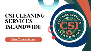 CSI Carpet Cleaning Services Islandwide
