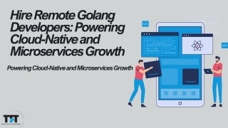 Hire Remote Golang Developers