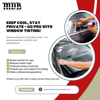 Professional Window Tinting Services | UV Protection & Privacy