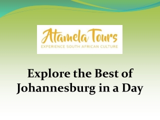Explore the Best of Johannesburg in a Day