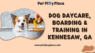 Dog Daycare, Boarding & Training in Kennesaw, GA