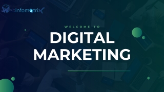 Chelmsford SEO Experts