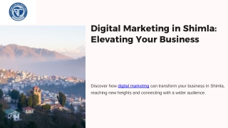 Digital Marketing in Shimla