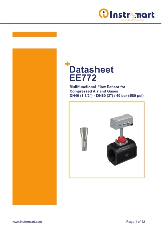 EE772 Flow Sensor for Compressed Air and Gases | Instromart