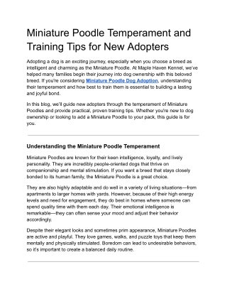 Miniature Poodle Temperament and Training Tips for New Adopters