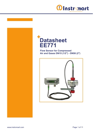 EE771 Thermal Flow Meter | Instromart