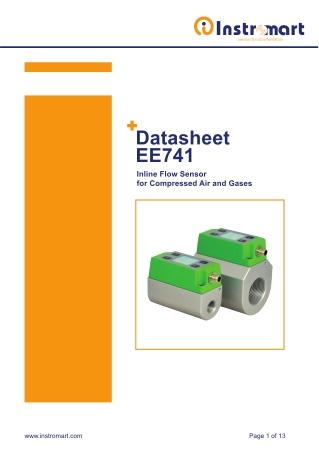 EE741 Inline Flow Sensor | Instromart