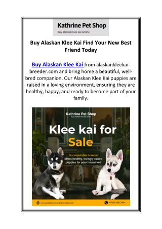Buy Alaskan Klee Kai Find Your New Best Friend Today