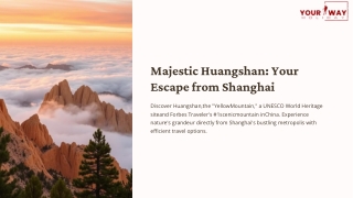 Shanghai to Suzhou Day Trip – Explore Classical Gardens & Ancient Canals