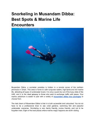 Snorkeling in Musandam Dibba_ Best Spots & Marine Life Encounters