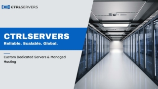 unmetered server in germany