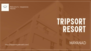 Travel Company tripsort resort