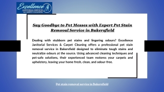 Say Goodbye to Pet Messes with Expert Pet Stain Removal Service in Bakersfield