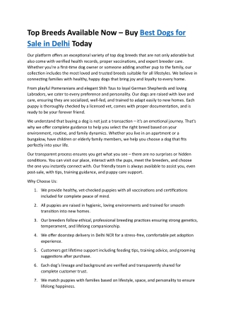 Adopt Happiness – Healthy, Purebred Dogs Available for Sale in Delhi