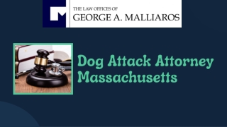 Dog Attack Attorney Massachusetts Legal Support for Victims