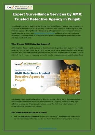 Expert Surveillance Services by AMX: Trusted Detective Agency in Punjab