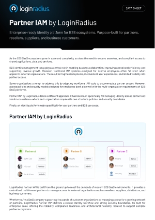 LoginRadius Partner IAM: Secure Identity for Enterprises