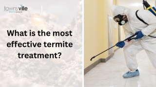 What is the most effective termite treatment.