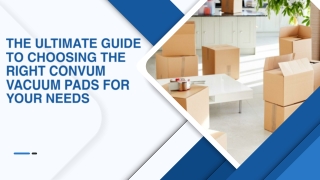 Life in Motion: How Packers and Movers Help Rebuild More Than Just Homes