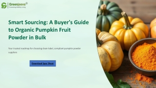 Organic Pumpkin Fruit Powder | Bulk Supply & Clean-Label Sourcing