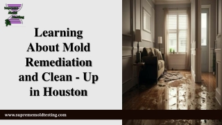 Mold Remediation and Clean Up in Houston