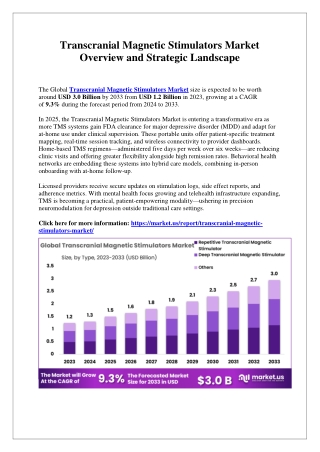 Transcranial Magnetic Stimulators Market Role of Portable and Home-Based Devices