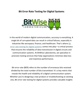 Bit Error Rate Testing for Digital Systems