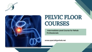 Pelvic Floor Courses: Enhancing Core Health and Rehabilitation Skills