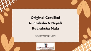 Original Certified Rudraksha & Nepali Rudraksha Mala