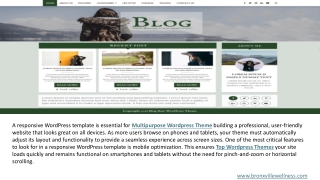 Top Wordpress Themes Best Wordpress Theme For Freelancers