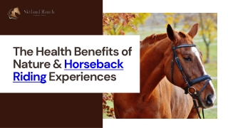 The Health Benefits of Nature & Horseback Riding Experiences