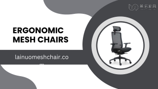 ergonomic mesh chairs