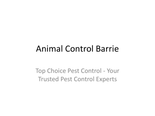 Animal Control Barrie Top Choice Pest Control