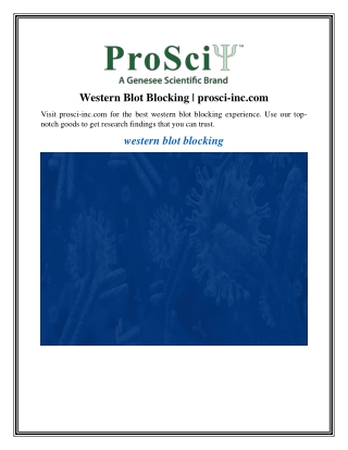 Western Blot Blocking prosci-inc.com
