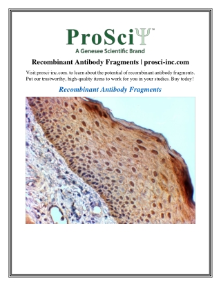 Recombinant Antibody Fragments prosci-inc.com