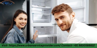 Professional Refrigerator Service Center Help